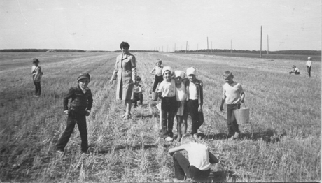 Сбор колосков 1 кл. (1988 г.) учитель А.М. Дрыгола.