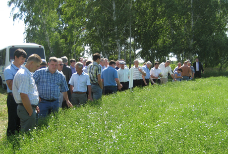 Участники совещания осмотрели производственные посевы и опытные делянки масличных культур.